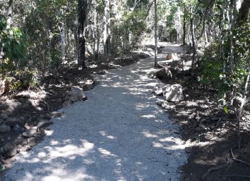 Geohex makes safer walking tracks in Conway National Park